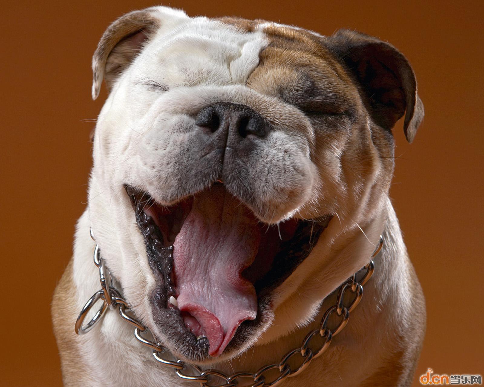 收入证明_biu雷哥收入(3)