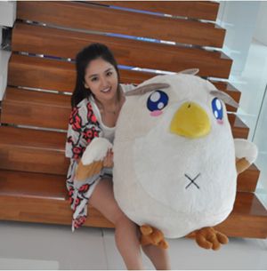 神雕侠侣 手机版 礼包