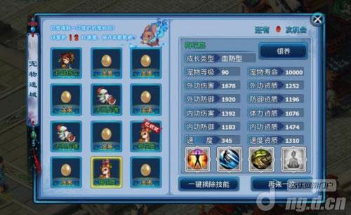 神雕侠侣肉盾血防宠技能与培养技巧