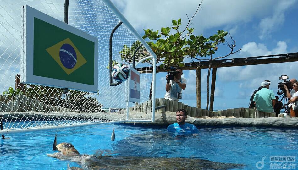 《我要封神》旋龟同伴预测世界杯揭幕战_我