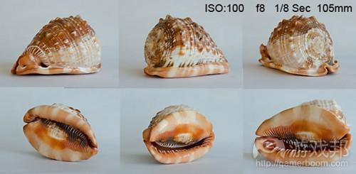 shell small(from gamasutra)