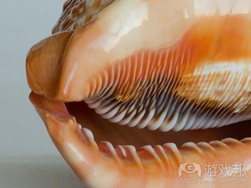 big shell(from gamasutra)