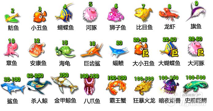 鱼类倍数.jpg