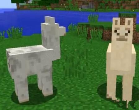 我的世界驯服蝙蝠方法 蝙蝠位置及生成介绍